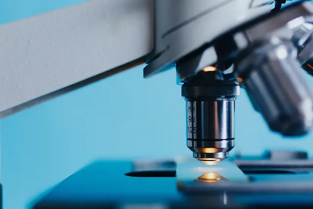 Techniques de Telprospection pour Maximiser votre Impact